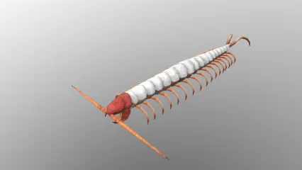 蜈蚣 多足怪 爬行动物次时代 3d模型
