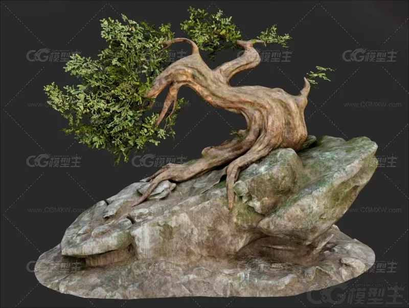 奇幻岩石古树模型C4D写实老树Blender植物MAYA建模渲染设计-1