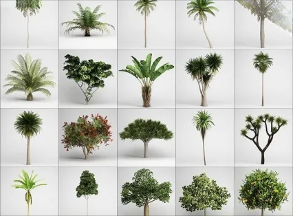 C4D写实热带植物模型FBX铁杉椰树剑麻类灌木沙地树木OBJ渲染素材