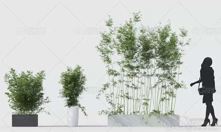 C4D写实竹子模型FBX格式文竹盆栽竹林3D建模渲染设计素材源文件-4