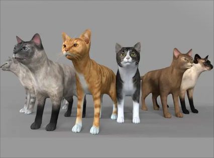 C4D写实小猫模型FBX动物猫咪花猫黑猫黄猫OBJ三维建模设计3D素材