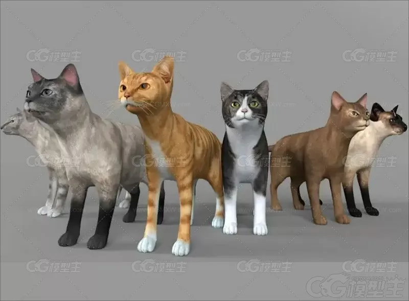 C4D写实小猫模型FBX动物猫咪花猫黑猫黄猫OBJ三维建模设计3D素材-1