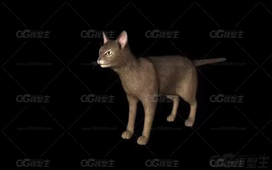 C4D写实小猫模型FBX动物猫咪花猫黑猫黄猫OBJ三维建模设计3D素材-2