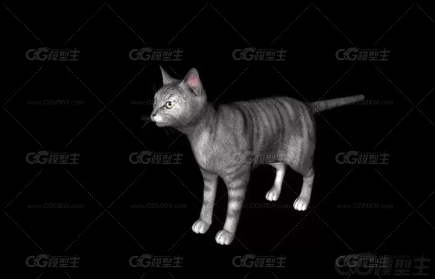 C4D写实小猫模型FBX动物猫咪花猫黑猫黄猫OBJ三维建模设计3D素材-3