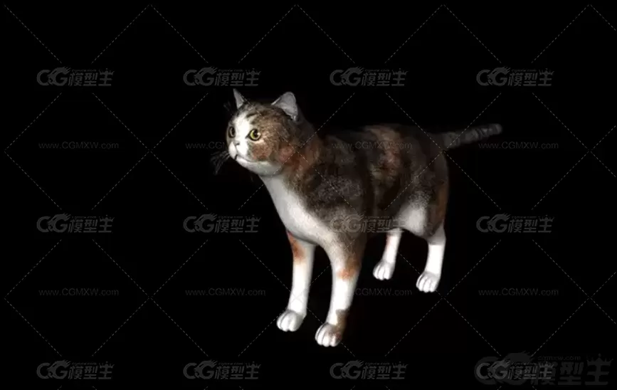 C4D写实小猫模型FBX动物猫咪花猫黑猫黄猫OBJ三维建模设计3D素材-4