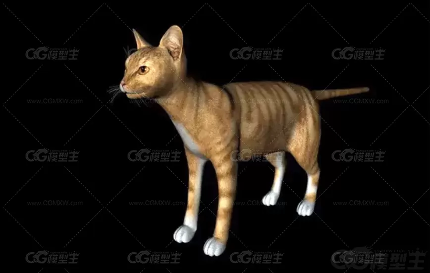 C4D写实小猫模型FBX动物猫咪花猫黑猫黄猫OBJ三维建模设计3D素材-5