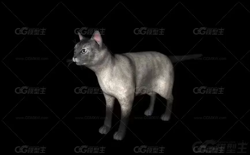 C4D写实小猫模型FBX动物猫咪花猫黑猫黄猫OBJ三维建模设计3D素材-6