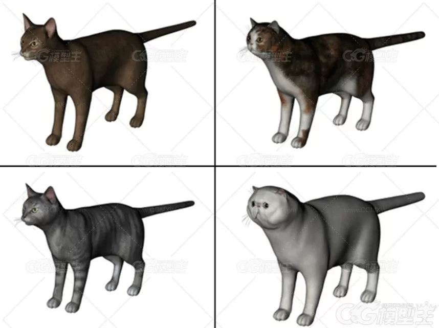 C4D写实小猫单体模型带骨骼绑定FBX动物黑灰色猫咪豹猫3D模型素材-2