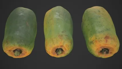 写实木瓜 熟透的木瓜 水果 蔷薇科 木瓜属植物3D模型
