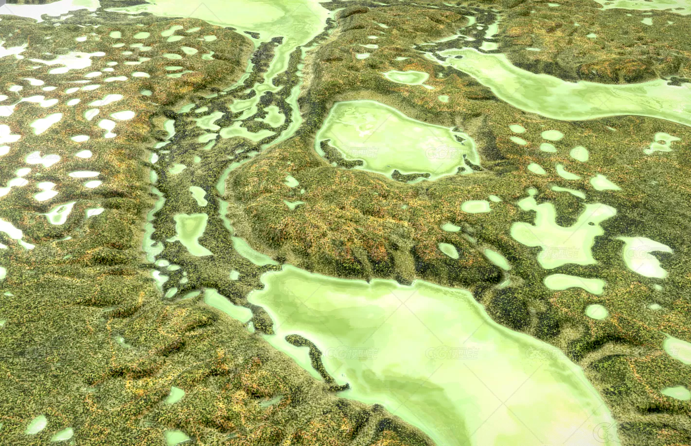 沼泽湿地 融化的永久冻土 冻土 湖泊 洼地 湿地 河流 青苔 平原 河谷 草地 湿地3D模型-3