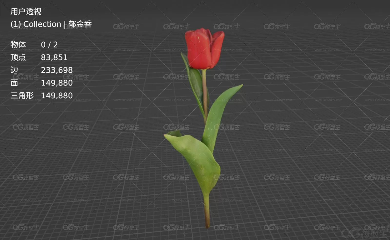 红郁金香 花朵 花蕊 花卉植物3D模型-5