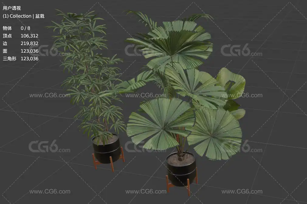 盆栽 盆栽植物 盆栽花卉 植物 盆栽水仙 绿色植物 景观植物 现代绿植 装饰盆景3D模型-5