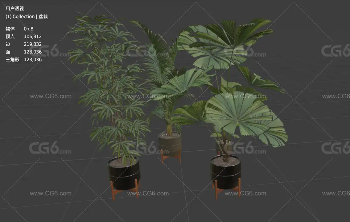 盆栽 盆栽植物 盆栽花卉 植物 盆栽水仙 绿色植物 景观植物 现代绿植 装饰盆景3D模型-6