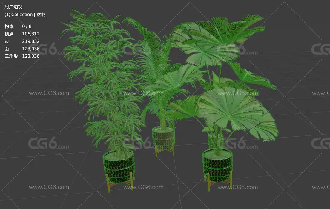 盆栽 盆栽植物 盆栽花卉 植物 盆栽水仙 绿色植物 景观植物 现代绿植 装饰盆景3D模型-7