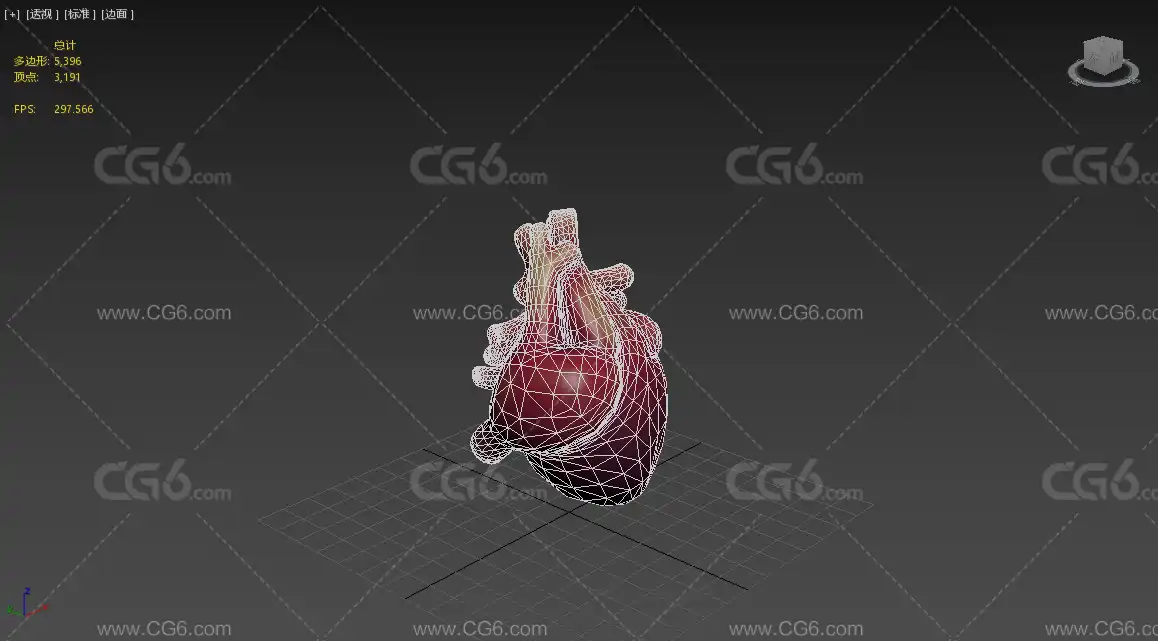 心脏心脏模型 心脏剖面 解剖 剖面 高模心脏 医学模型 医用模型解剖 器官3D模型-6