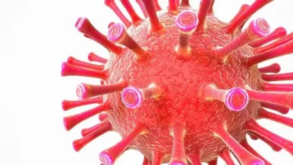 冠状病毒(COVID-19病毒 细胞 细菌 微生物3D模型