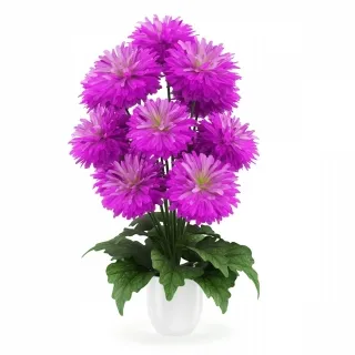 翠菊-室内花卉盆栽3D模型
