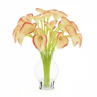 马蹄莲-室内花卉盆栽3D模型