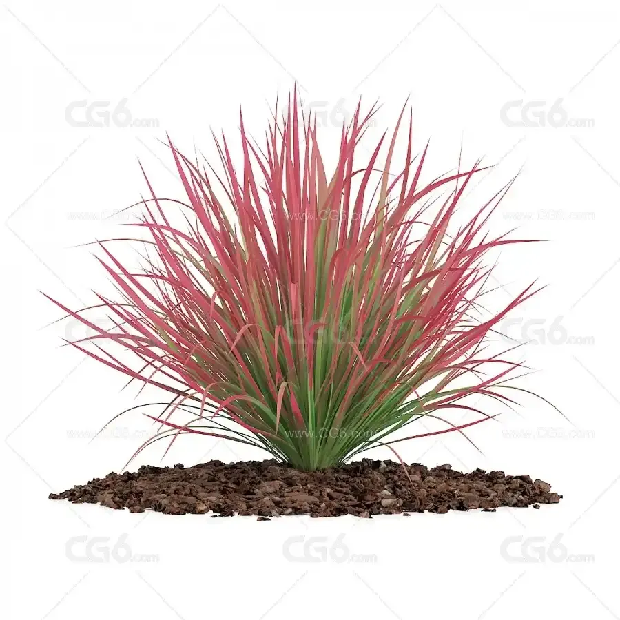 千年木-园林植物3d模型-1