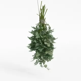 雪松-水果蔬菜3d模型