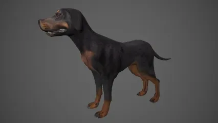 黑狗 家狗 狗狗 卡通狗 宠物狗 灰色小狗 大狗 中型犬 导盲犬 缉毒犬3D模型