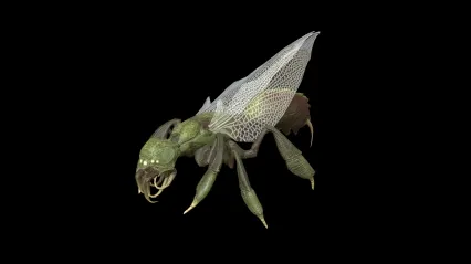 PBR材质外星生物 虫族 变异昆虫 怪物 变异物种 虫怪 奇特动物 外星虫子 飞虫 甲虫怪兽3D模型