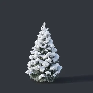 云杉雪松 松树 雪景树 雪树松木落满白色雪积雪松柏圣诞树铁杉针叶林乔木大树针叶树杉树