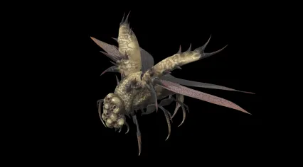 地狱恶魔 恶魔飞虫 外星物种 变异飞虫 妖怪 怪虫 妖兽 异形怪物 骷髅飞虫 食人飞虫3D模型