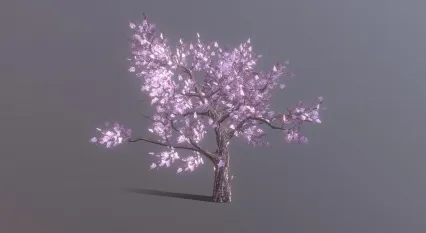 樱花树 老树 桃花 植物 春节桃树 盛开桃花 梅花树 美色花瓣