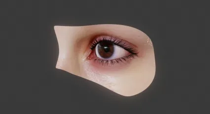 逼真的女性人物眼球 眼睛 眼珠子3D模型