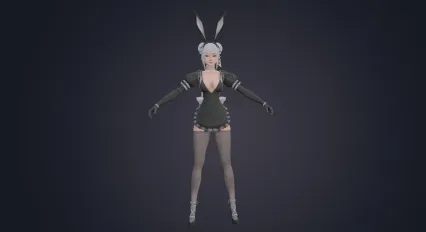 二次元兔女郎 酒吧酒女郎 动漫女孩 Lady 御姐 美少女战士 黑丝性感女郎【带绑定】
