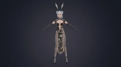二次元兔女郎 酒吧酒女郎 动漫女孩 Lady 御姐 美少女战士 黑丝性感女郎【带绑定】