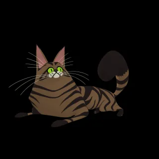 缅因猫