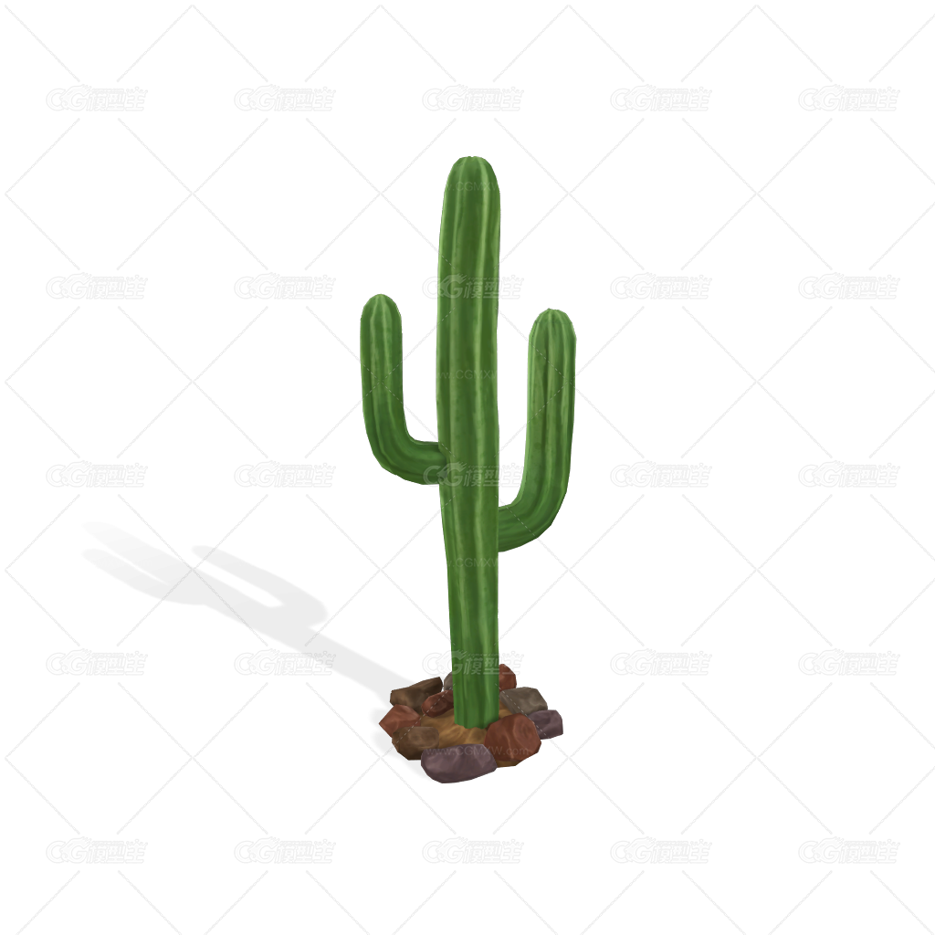 仙人掌科植物1-1