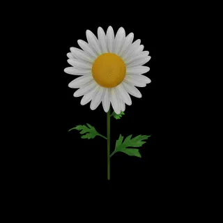 向日葵2