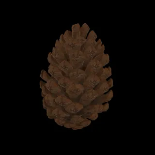 松球
