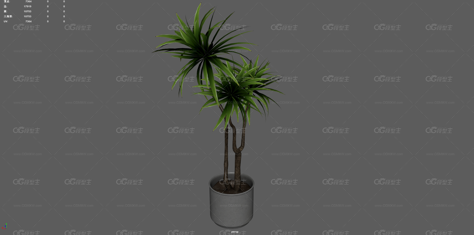 绿植 植物 盆栽 花盆 发财树 室内装饰植物 花艺 盆景 花卉 观赏花卉 植物花草 绿叶 君子兰-4