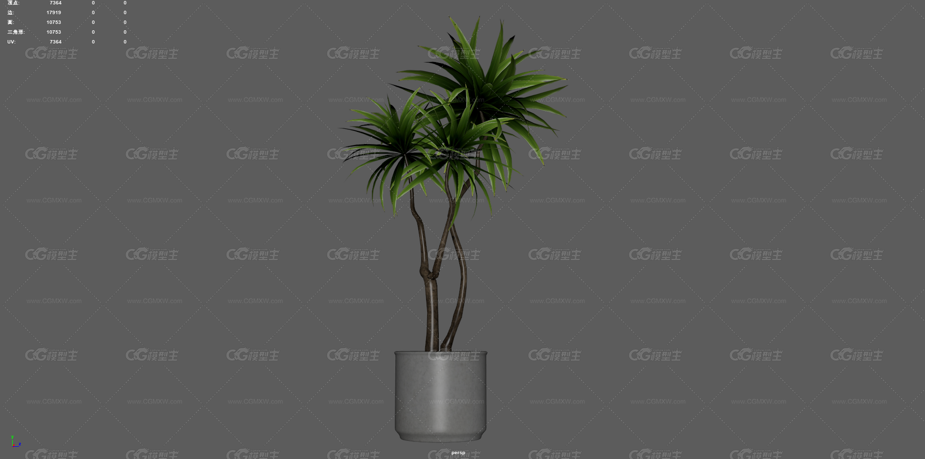 绿植 植物 盆栽 花盆 发财树 室内装饰植物 花艺 盆景 花卉 观赏花卉 植物花草 绿叶 君子兰-7