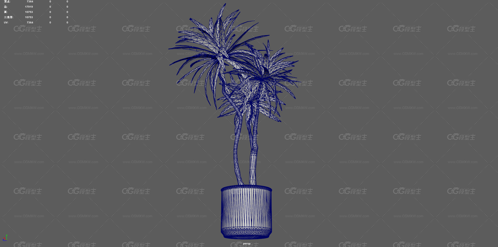 绿植 植物 盆栽 花盆 发财树 室内装饰植物 花艺 盆景 花卉 观赏花卉 植物花草 绿叶 君子兰-9
