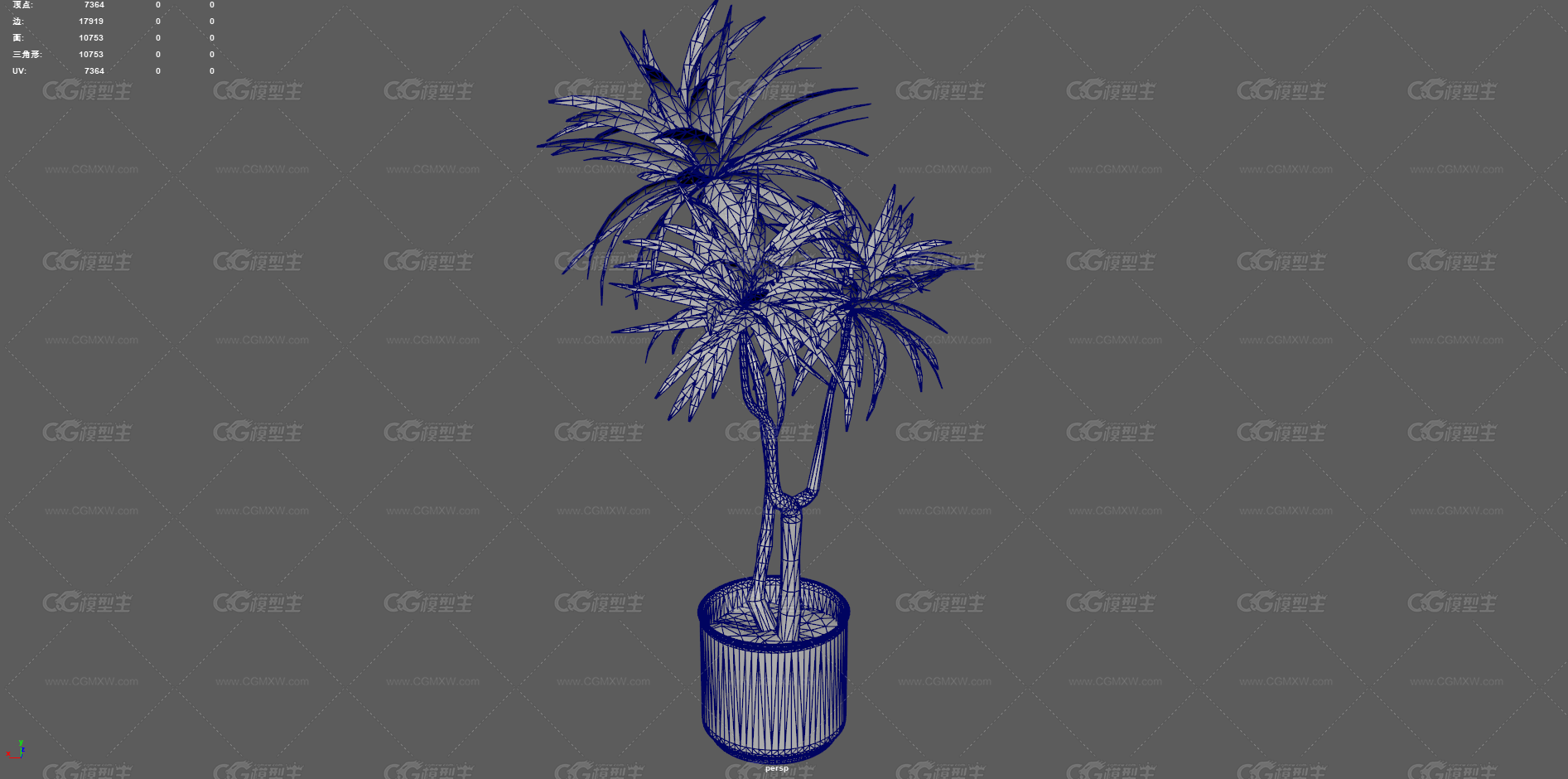 绿植 植物 盆栽 花盆 发财树 室内装饰植物 花艺 盆景 花卉 观赏花卉 植物花草 绿叶 君子兰-12