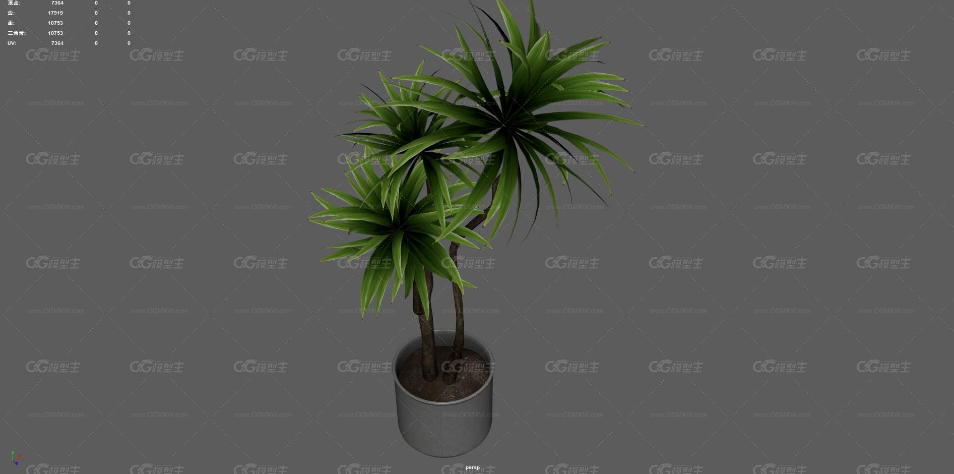 绿植 植物 盆栽 花盆 发财树 室内装饰植物 花艺 盆景 花卉 观赏花卉 植物花草 绿叶 君子兰-5
