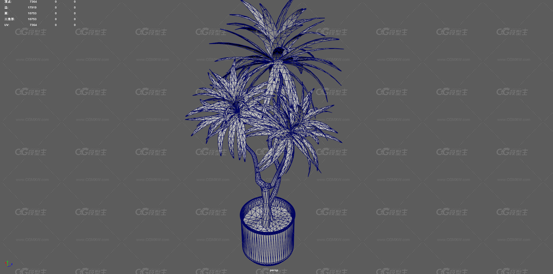 绿植 植物 盆栽 花盆 发财树 室内装饰植物 花艺 盆景 花卉 观赏花卉 植物花草 绿叶 君子兰-13