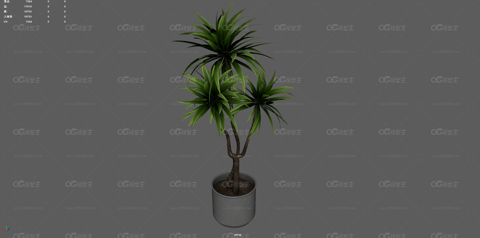 绿植 植物 盆栽 花盆 发财树 室内装饰植物 花艺 盆景 花卉 观赏花卉 植物花草 绿叶 君子兰-6