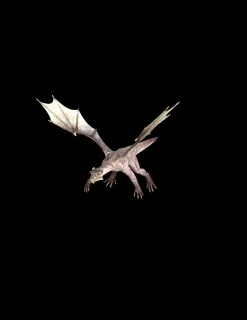 恐龙 飞龙 恶龙 魔龙