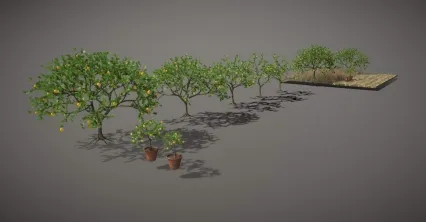 柠檬树 果树 盆栽 绿植 橙子树 装饰植物 园林树木 草地 花园植物 果园 场景植物 树木 