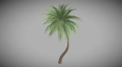 椰树 热带植物 棕榈树 椰子树 沙滩植物 树木 夏季树 大叶植物 芭蕉树 景观植物 四季树