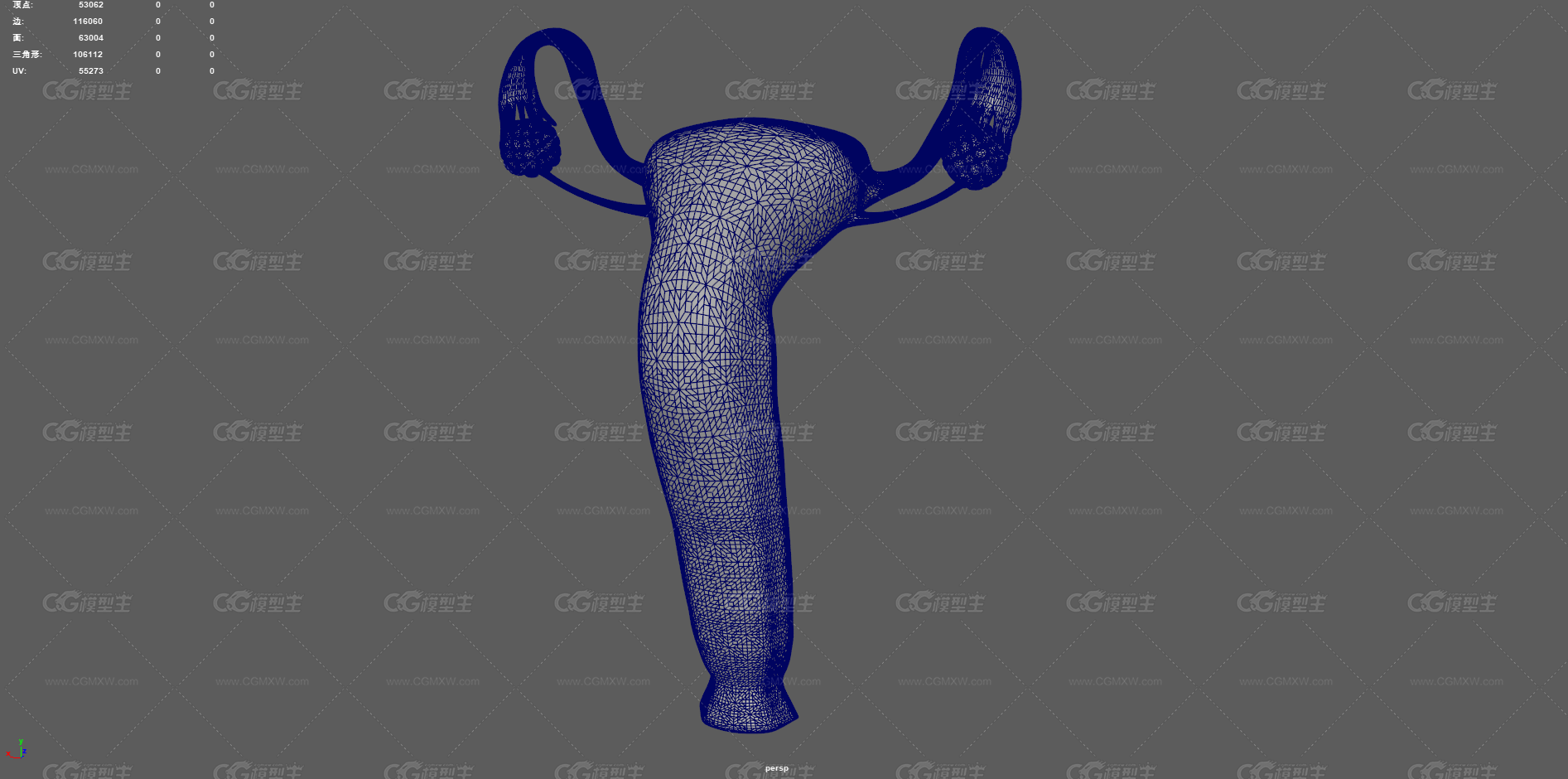 生殖器官 子宫剖面 卵巢 女性子宫 生殖器 医学动画 卵巢生殖器 宫口 宫颈 性器官 输卵管 妇科-14