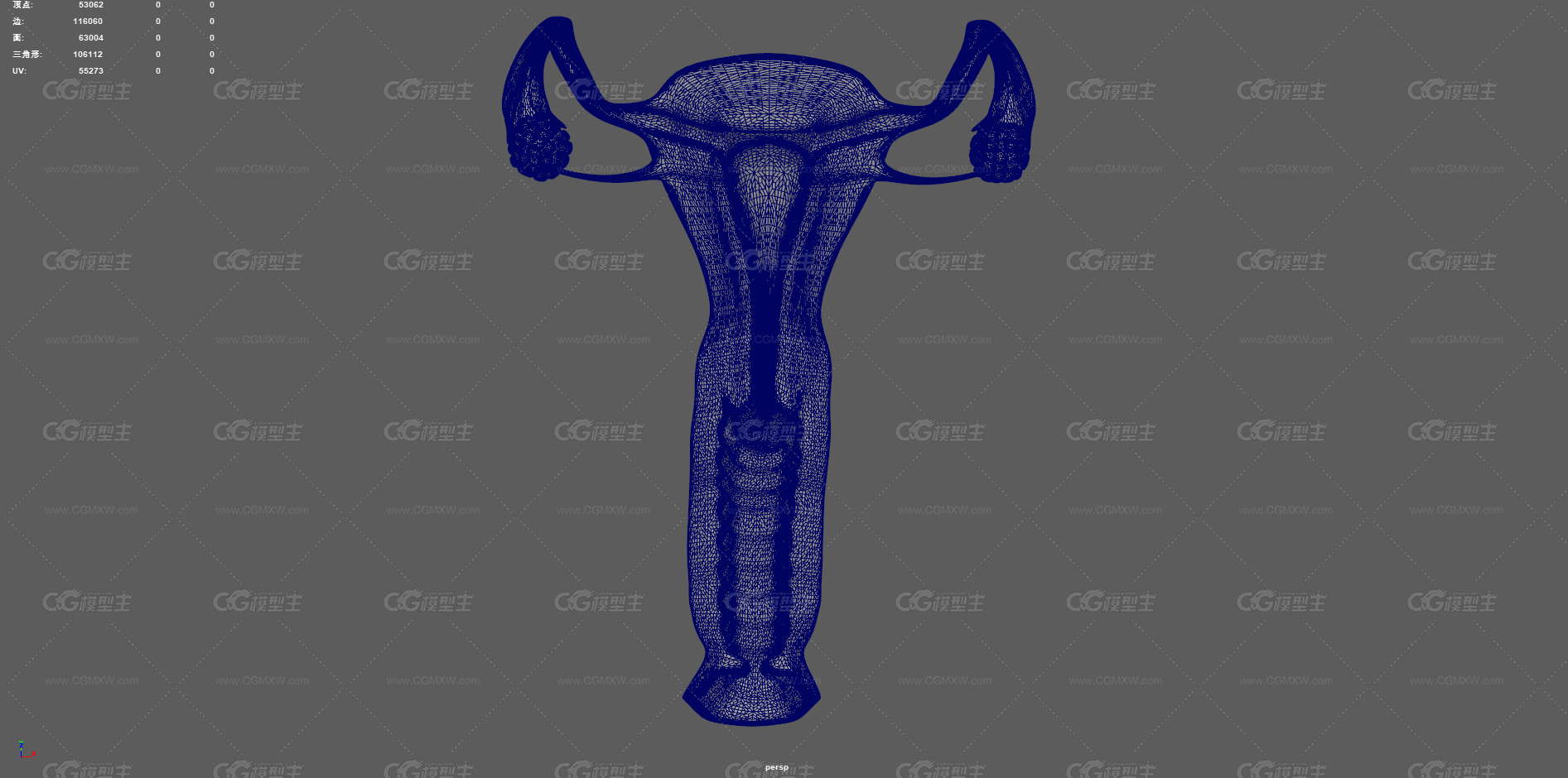 生殖器官 子宫剖面 卵巢 女性子宫 生殖器 医学动画 卵巢生殖器 宫口 宫颈 性器官 输卵管 妇科-15