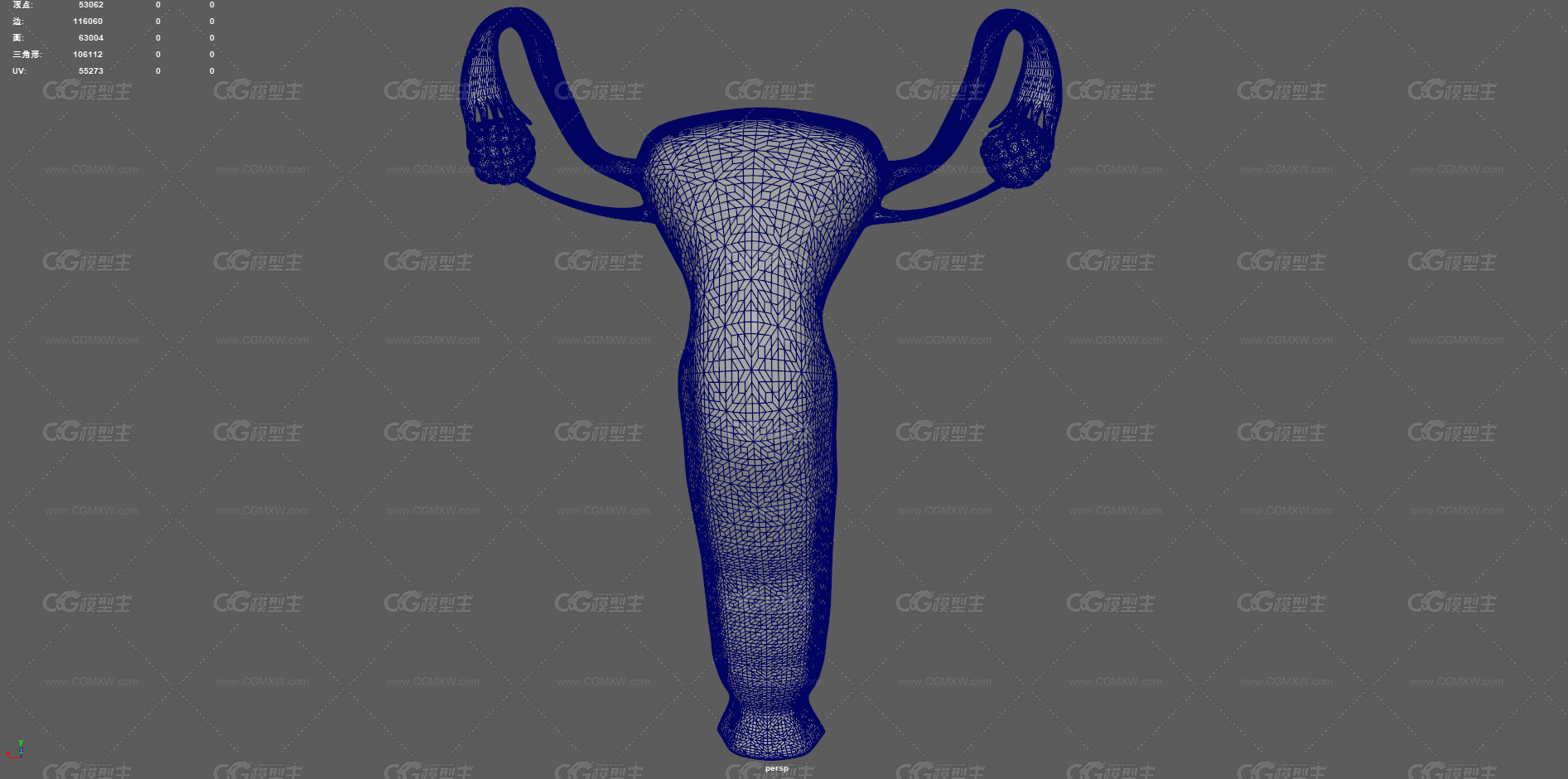 生殖器官 子宫剖面 卵巢 女性子宫 生殖器 医学动画 卵巢生殖器 宫口 宫颈 性器官 输卵管 妇科-12