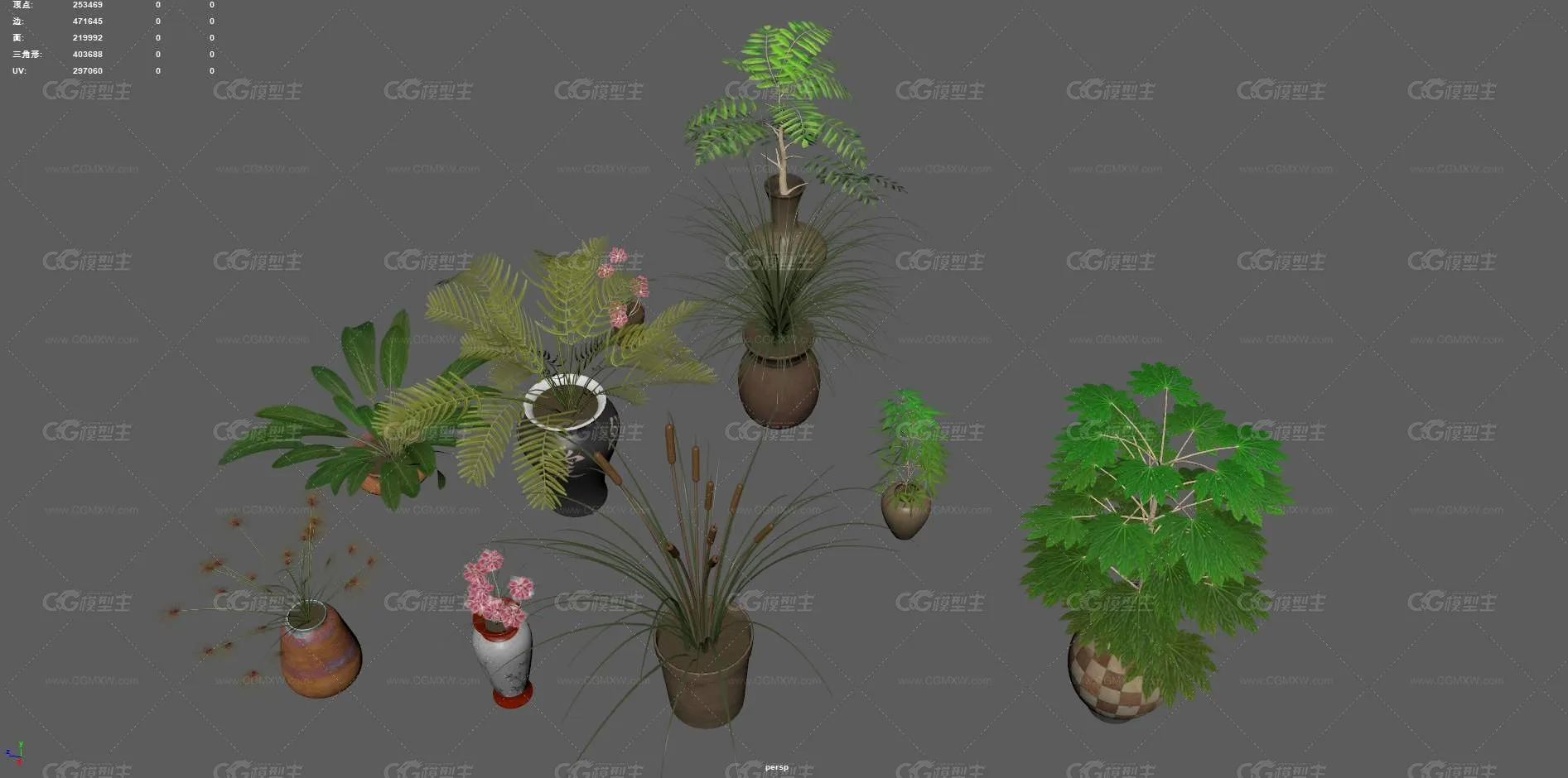 盆栽 花卉 花草 植物 室内植物 绿植 盆景 绿色植物 盆景 含羞草 室内装饰植物 花盆 花圃植物-3